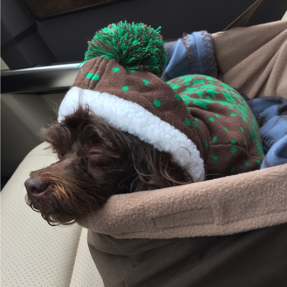 Meet your Posher, Florence - Picture 5 of 5